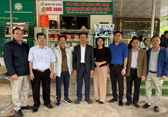 Đo&agrave;n c&ocirc;ng t&aacute;c x&atilde; Đạo Tr&ugrave; tham quan, học tập m&ocirc; h&igrave;nh trồng s&acirc;m tại x&atilde; Ph&uacute;c H&ograve;a