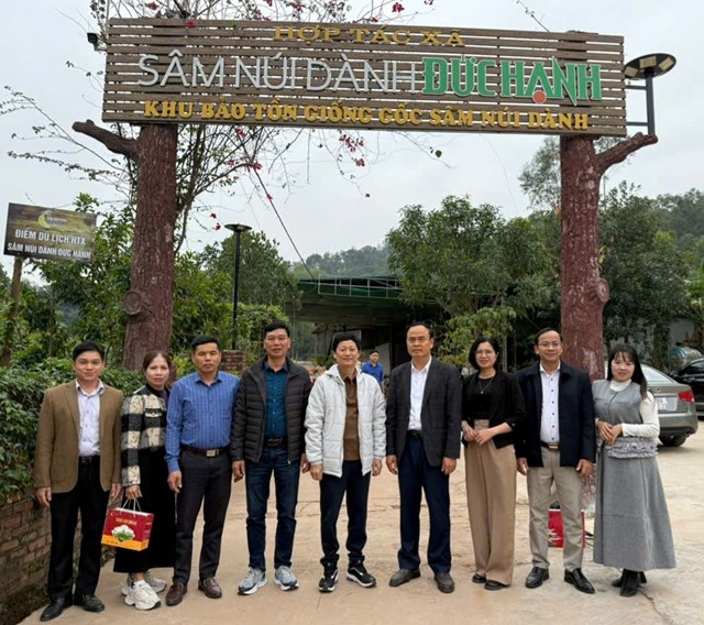 Xã Đạo Trù học tập mô hình trồng sâm tại Phúc Hòa - Ảnh 2