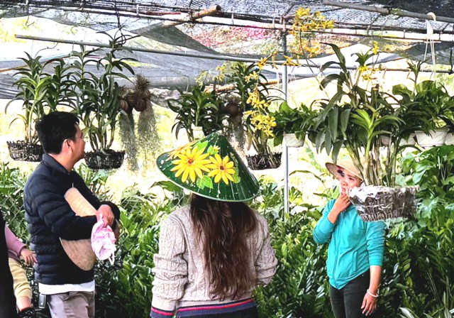 Xu hướng cây cảnh gắn với trang trí không gian sống hiện đại.