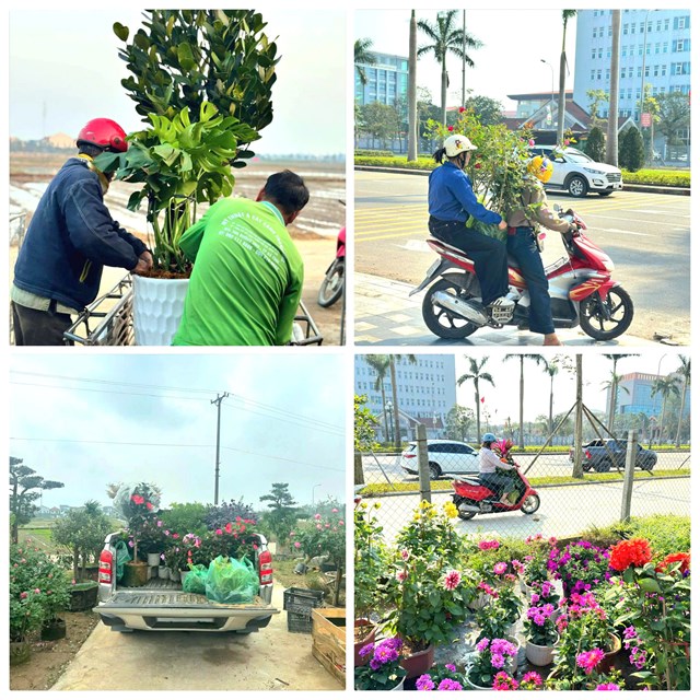 Những chậu hoa mang theo sắc xuân về từng ngôi nhà.