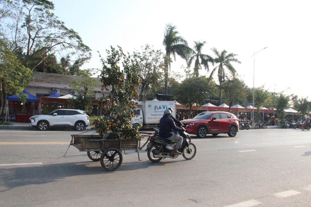 Phố đi bộ Hồ T&ugrave;ng Mậu &ndash; kh&ocirc;ng gian s&ocirc;i động nơi &ldquo;Phi&ecirc;n chợ Xu&acirc;n&rdquo; diễn ra, thu h&uacute;t đ&ocirc;ng đảo người d&acirc;n v&agrave; du kh&aacute;ch đến tham quan, trải nghiệm.