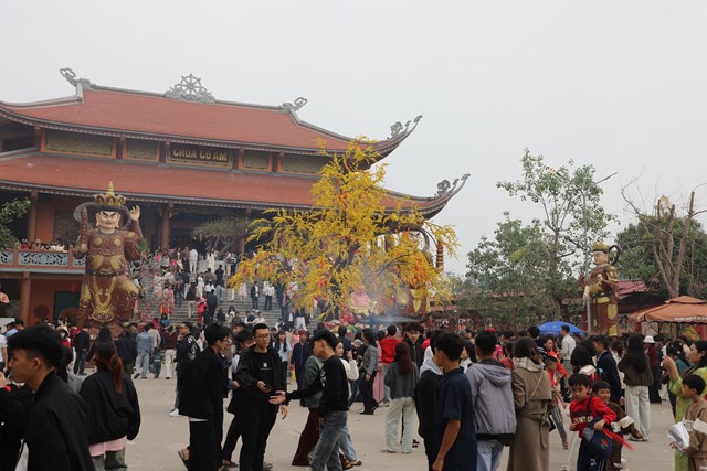 Người dân đi lễ chùa Cổ Am