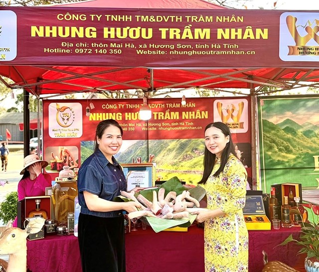 Gian hàng Nhung hươu Trầm Nhân Hương Sơn tại Lễ hội