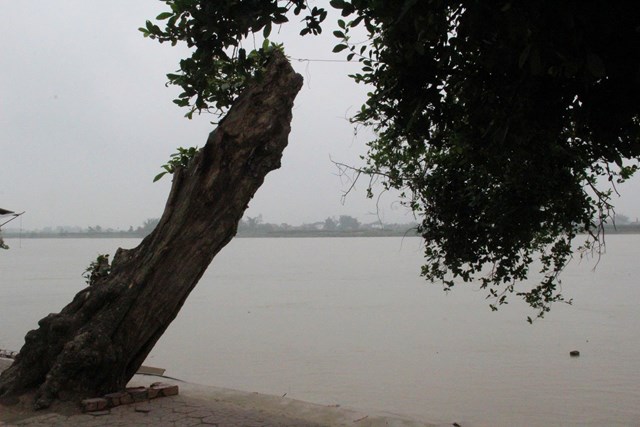 S&ocirc;ng Lam chảy &aacute;p s&aacute;t ch&acirc;n Đền