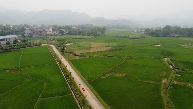 X&atilde; Đ&agrave; Bắc (tỉnh Ph&uacute; Thọ) đang từng bước chuyển m&igrave;nh mạnh mẽ,&nbsp;kiến tạo nền kinh tế xanh, ph&aacute;t triển nhanh, bền vững.