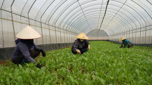 Đà Bắc chuyển mình mạnh mẽ, kiến tạo diện mạo mới năm 2026 - Ảnh 1