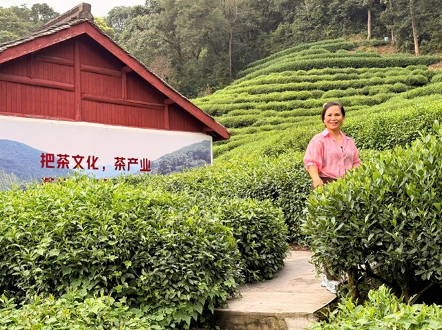 Đi vào một miền ký ức của " Tây Hồ Long Tỉnh " - Ảnh 6